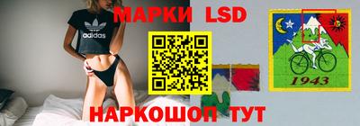 стаф Донской