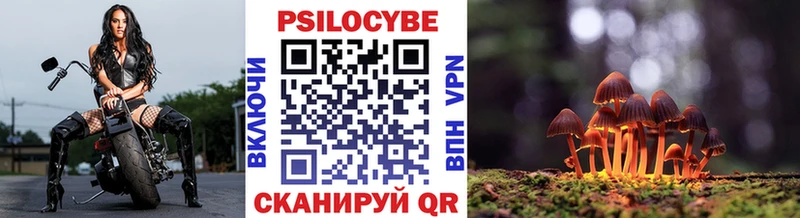 продажа наркотиков  mega как зайти  Псилоцибиновые грибы Psilocybe  Каменск-Шахтинский 