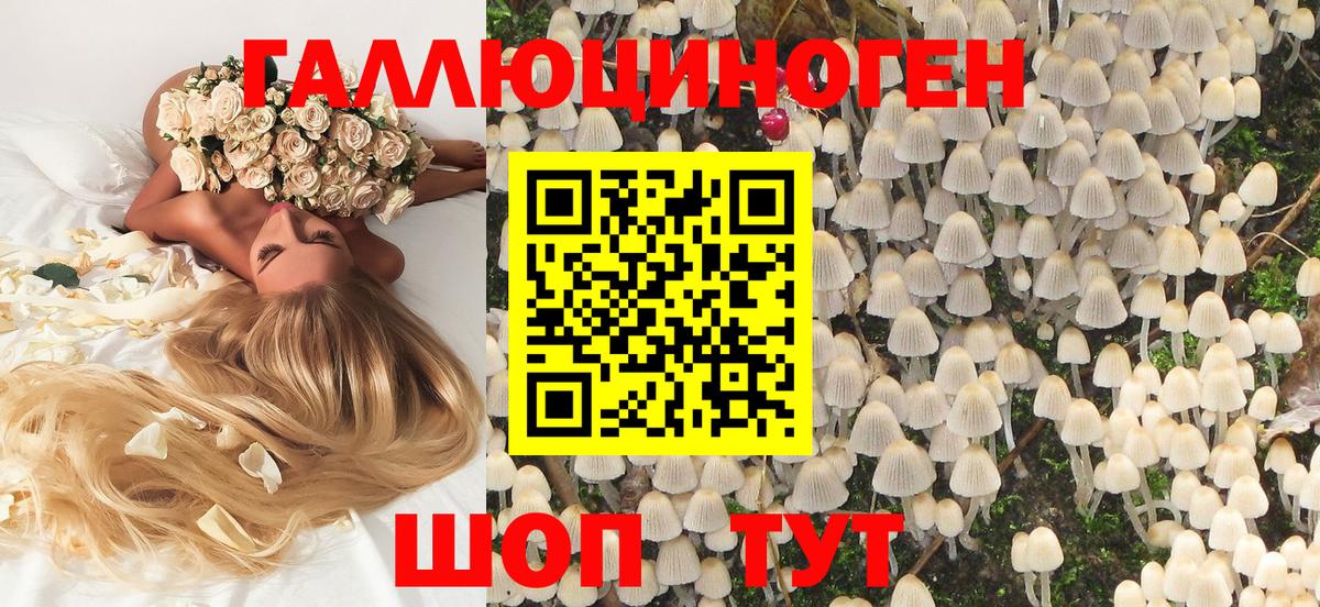 Каменск-Шахтинский  Псилоцибиновые грибы прущие грибы  Вход с VPN 