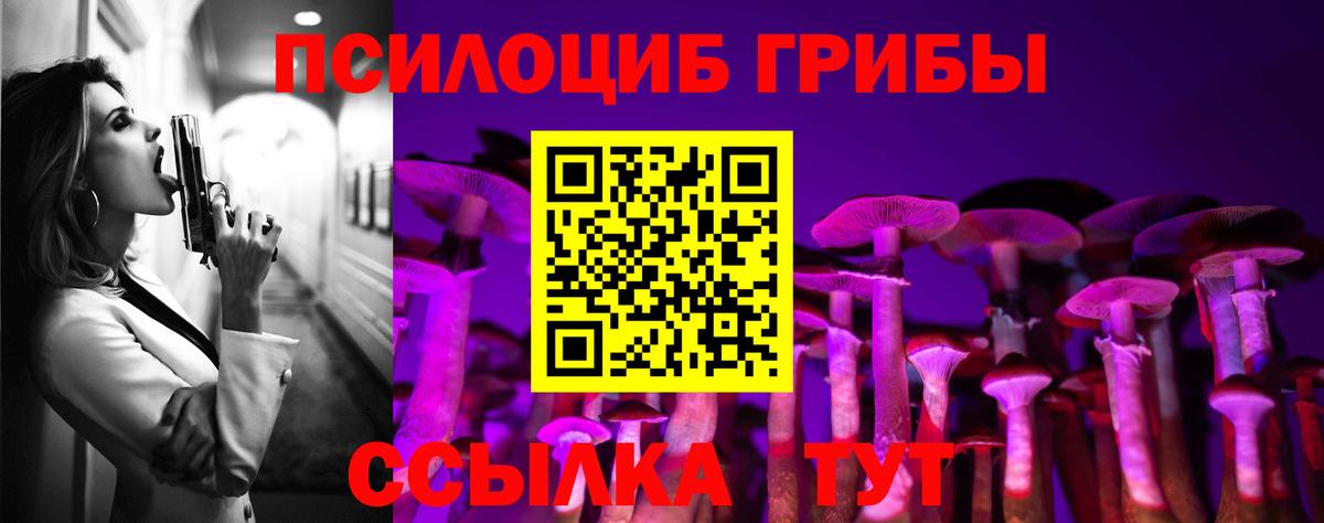 Псилоцибиновые грибы GOLDEN TEACHER  Псилоцибиновые грибы ЛСД  Каменск-Шахтинский 