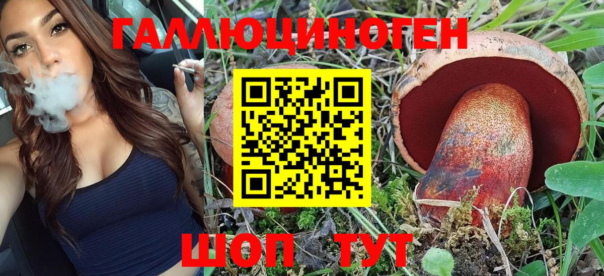 Псилоцибиновые грибы ЛСД Каменск-Шахтинский