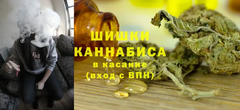 сколько стоит  Каменск-Шахтинский  Бошки марихуана Bruce Banner 